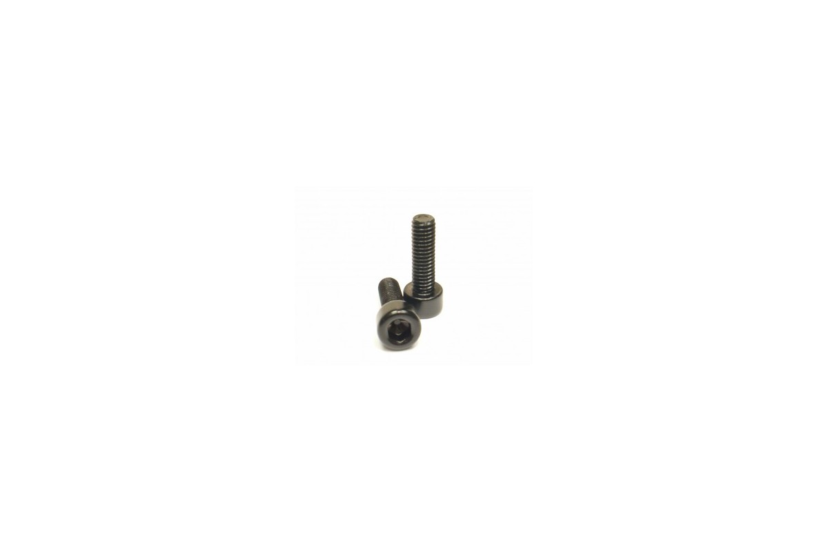 Alloy Bottlecage screws M5x16, black, 2 pieces