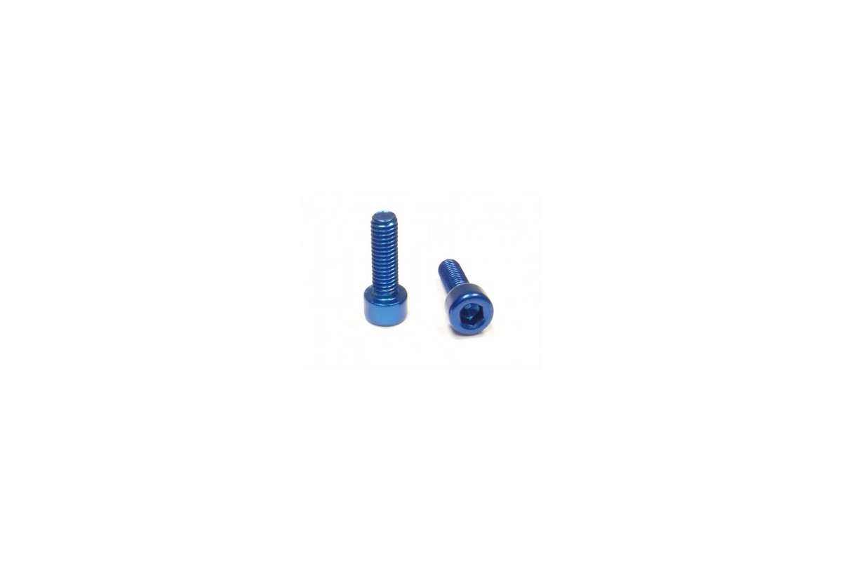 Alloy Bottlecage screws M5x16, purple, 2 pieces