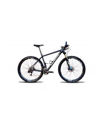Konstructive TOURMALINE 29er Mountain Bike Rahmen/ frame, pure carbon style, Größe / size small 