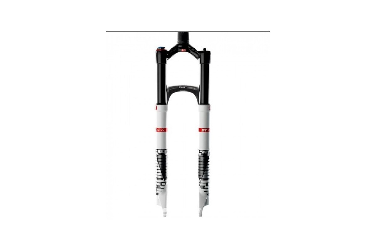 DT Swiss XMM 100 Fork