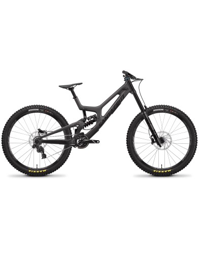 santa cruz v10 white