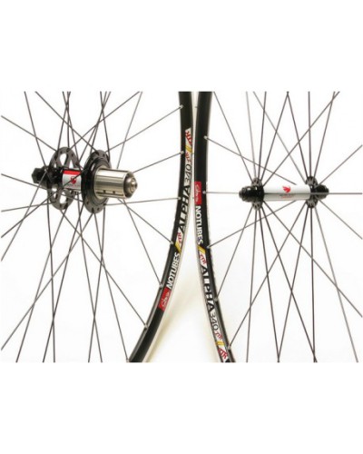ZTR ALPHA Team American Classic Disc Wheelset,  32 H., black, butted DT Spokes, DT Alloy Nipples