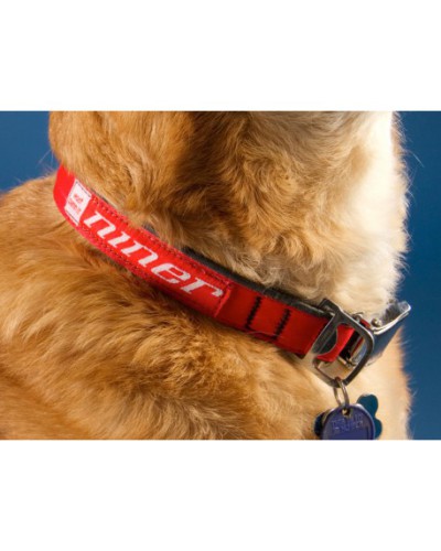 NINER Dog Collar, Medium, 12" - 21"